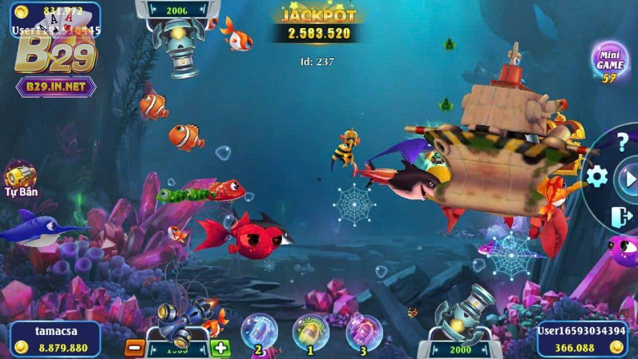 Nhiều sự kiện và giải đấu