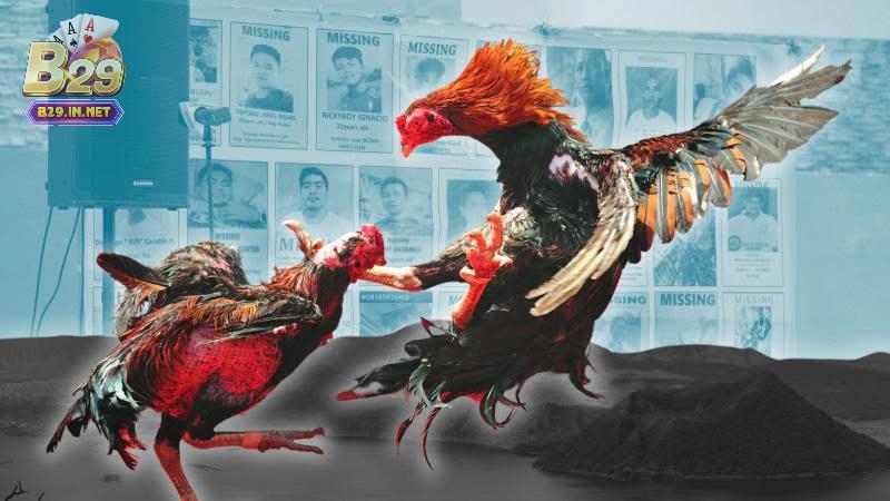 Các kèo phổ biến