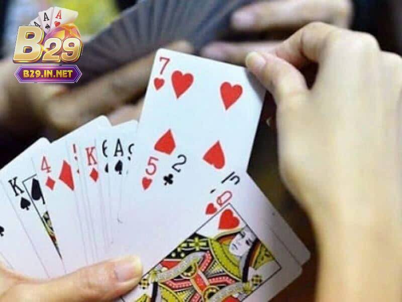 Nhiều đặc điểm nổi bật 